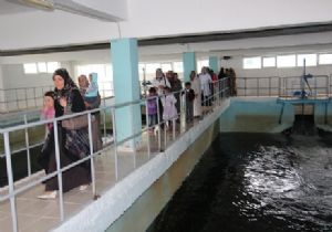 Kadınlar Büyükşehir hizmetlerini denetledi